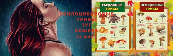 прущая мука Алексин