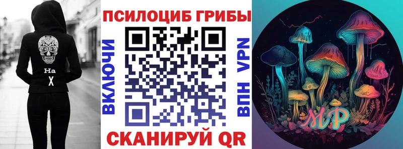 Галлюциногенные грибы Magic Shrooms  где можно купить   Карабулак 