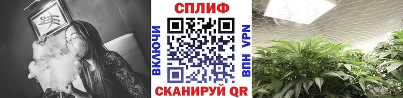МАРИХУАНА индика Карабулак